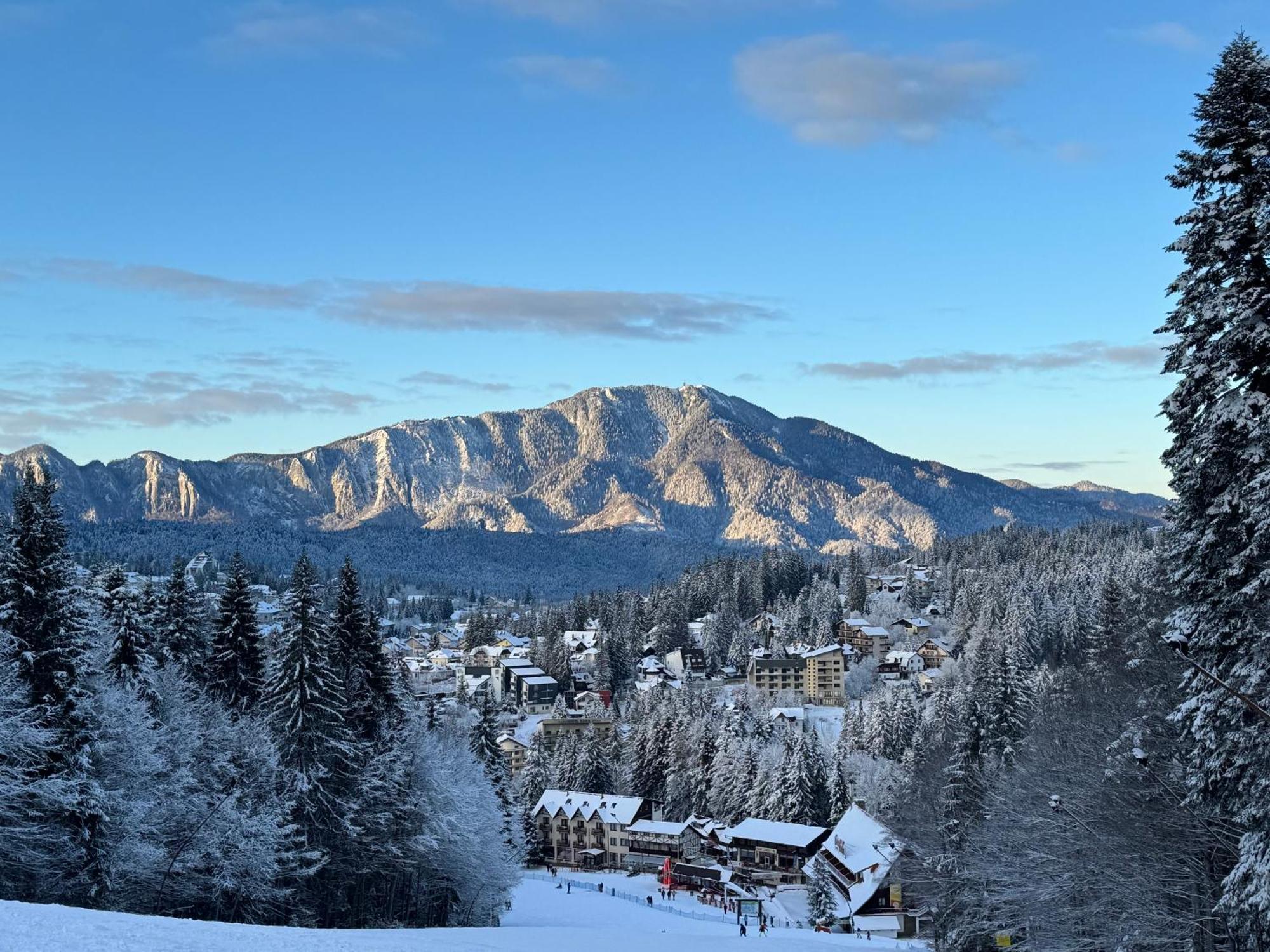 Pine Peak Apartments Predeal Luaran gambar