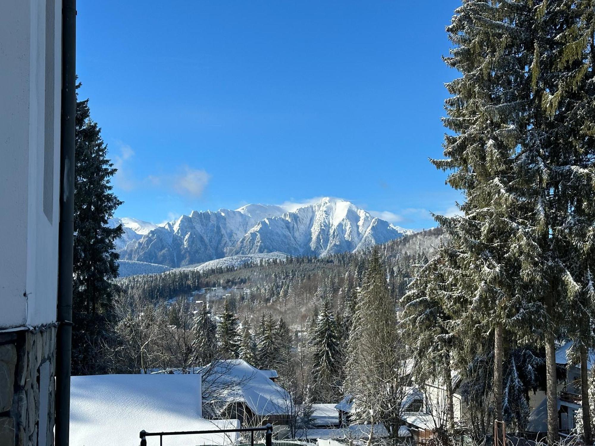 Pine Peak Apartments Predeal Luaran gambar