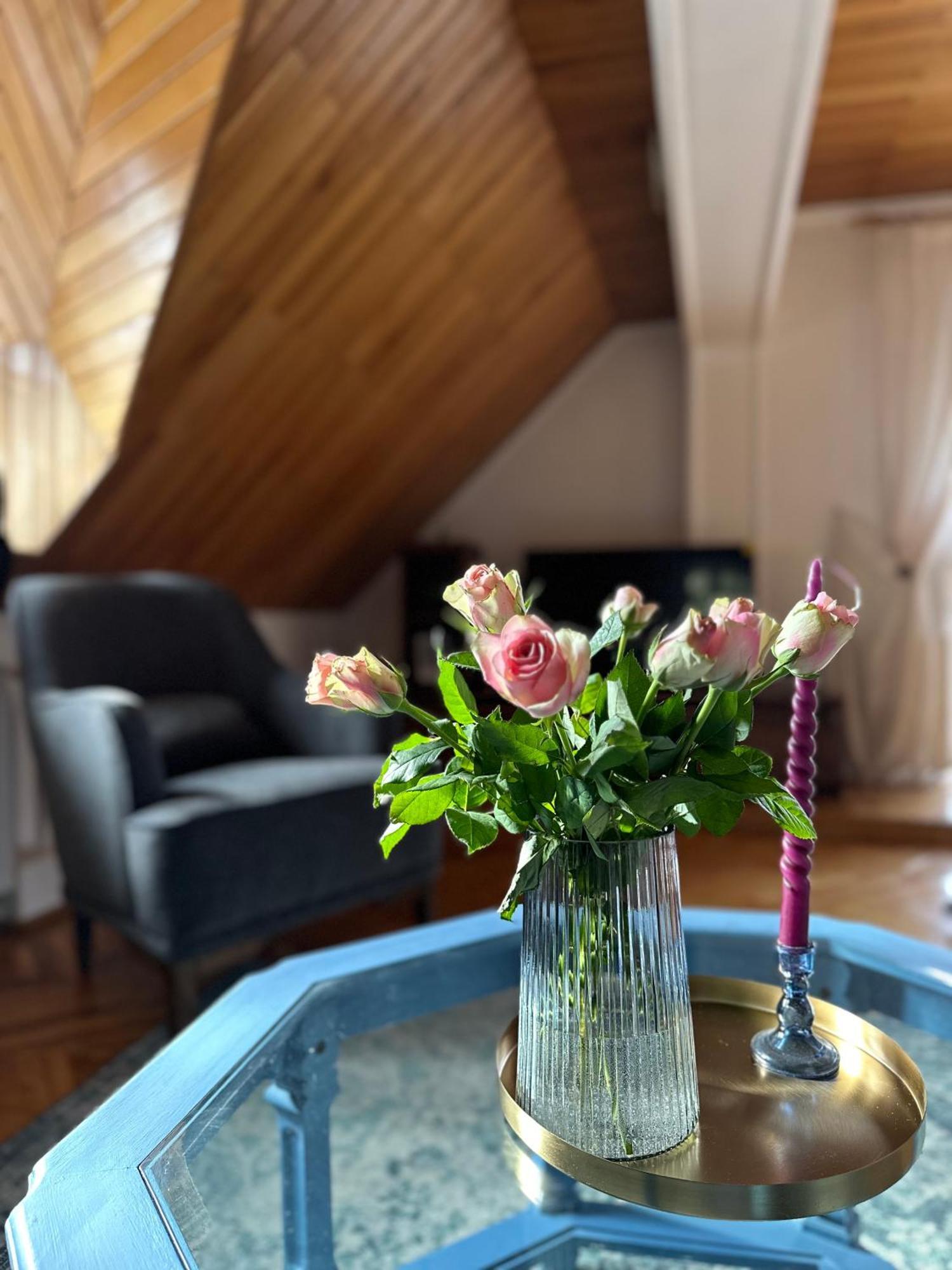 Pine Peak Apartments Predeal Luaran gambar