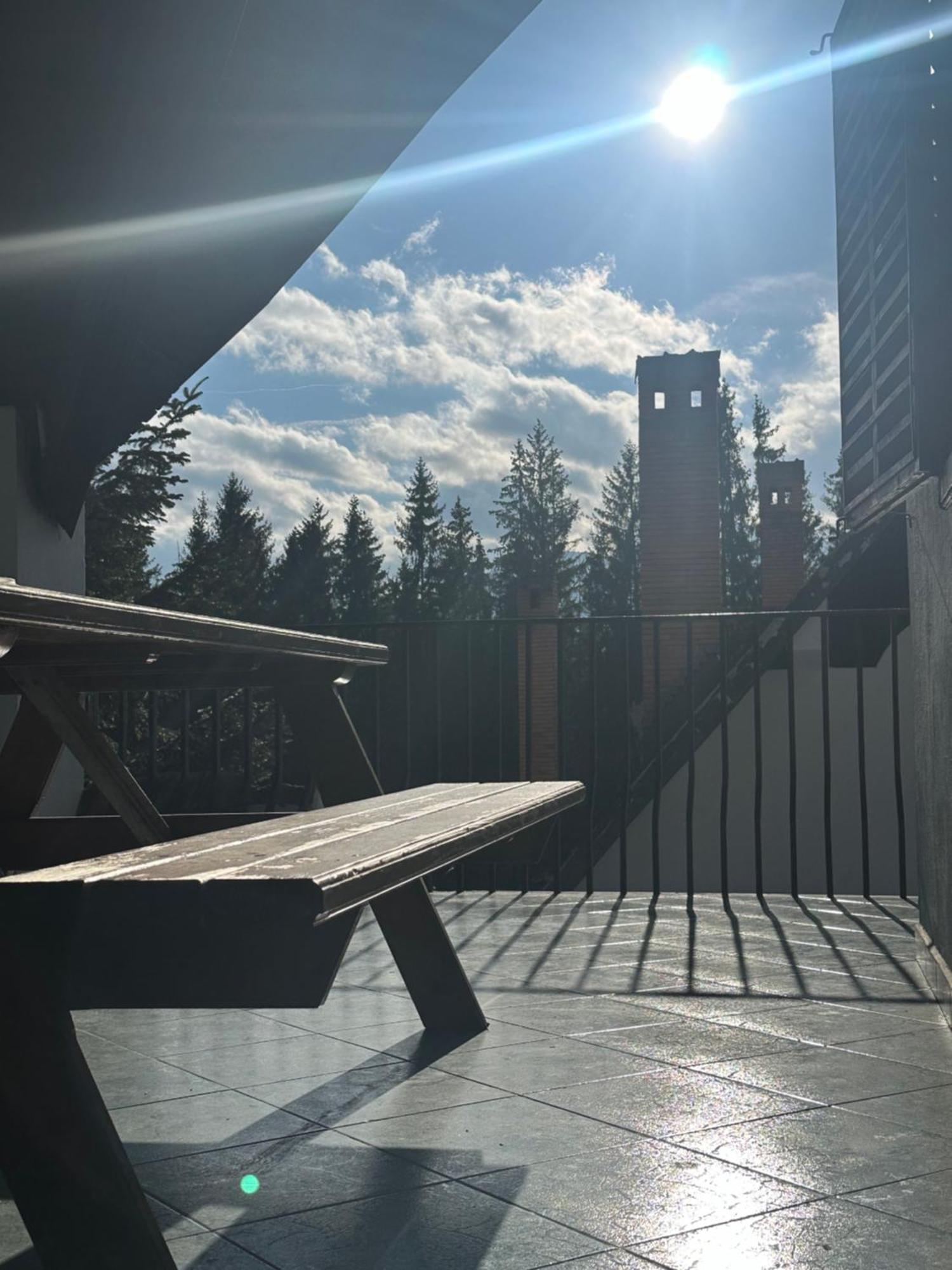 Pine Peak Apartments Predeal Luaran gambar