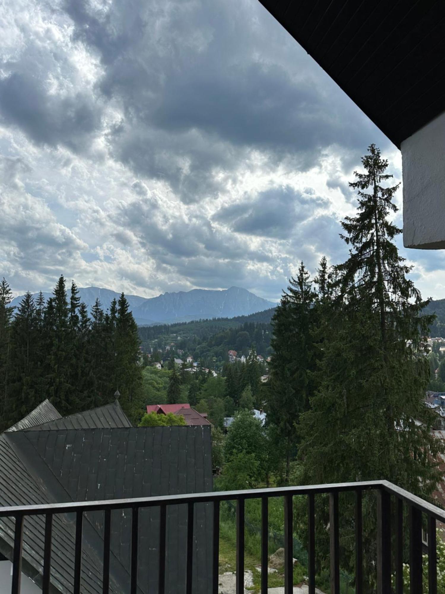 Pine Peak Apartments Predeal Luaran gambar