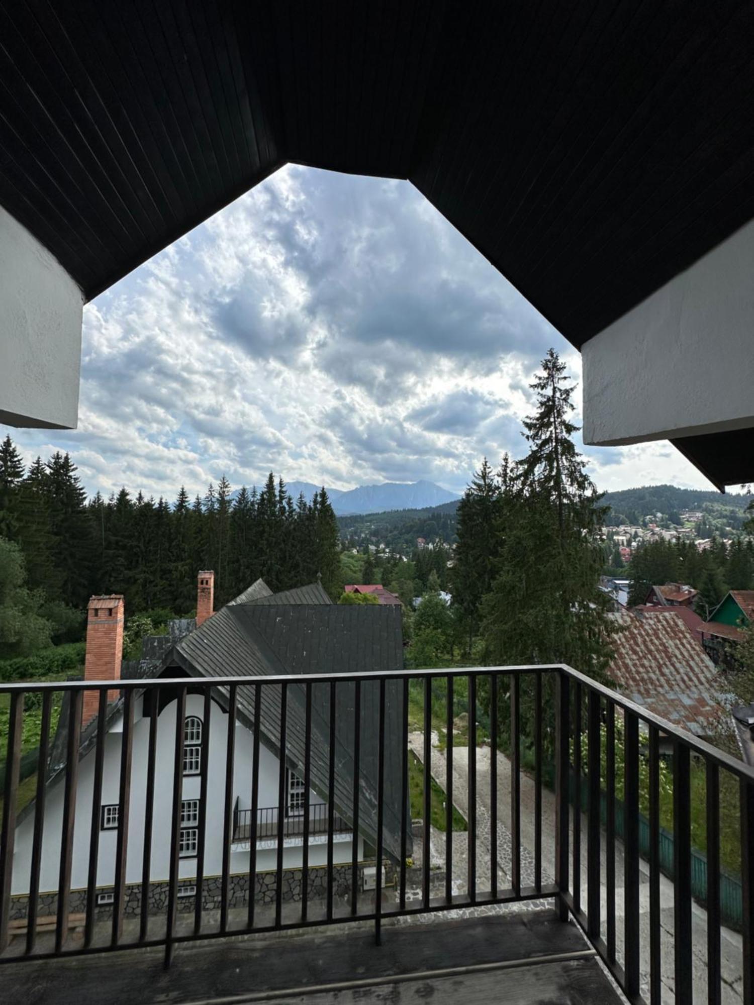 Pine Peak Apartments Predeal Luaran gambar