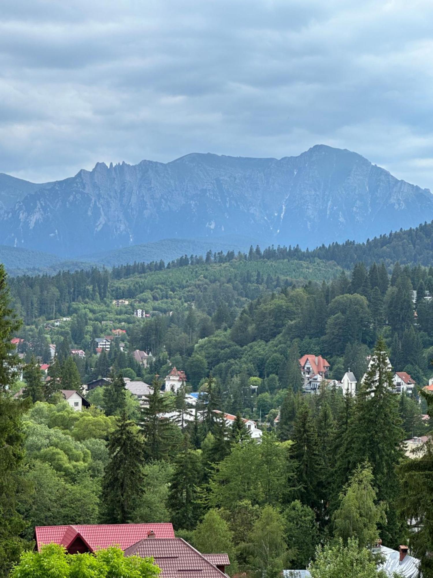 Pine Peak Apartments Predeal Luaran gambar